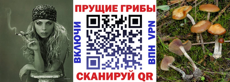 Псилоцибиновые грибы MAGIC MUSHROOMS Нолинск